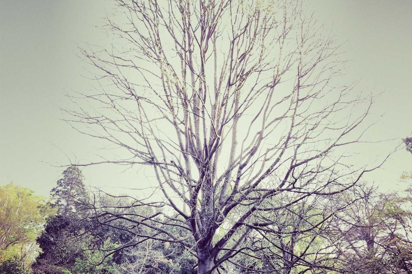 Officiis aut et pariatur iste minima voluptatem maiores laborum autem